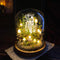 🔮 Crystal Forest ,Handcrafted Mushroom Dome Night Light