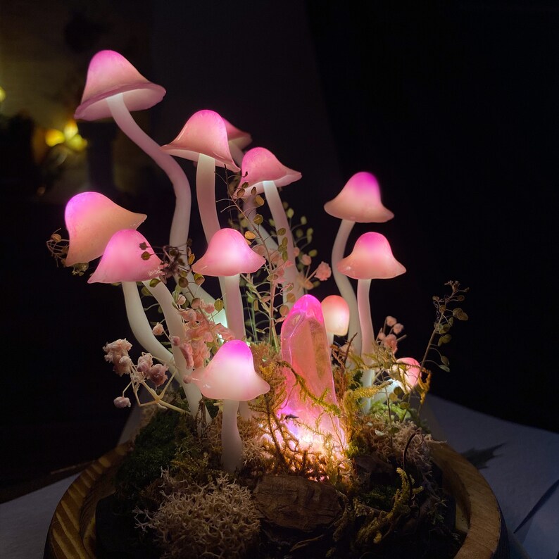 🌸 Enchanted Blush,Handcrafted Pink Mushroom Crystal Dome Night Light